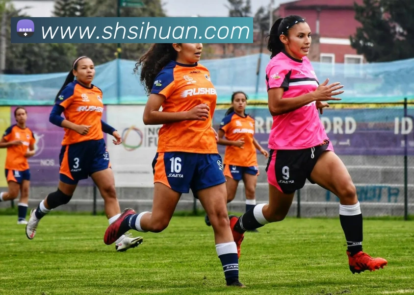 多媒体互动体验